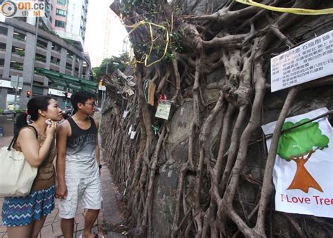 斬樹 大樓鞋子放外面